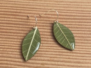 Leaf Shaped Earrings-Olive Green